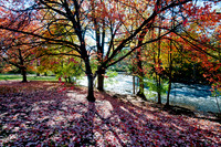 20111102_DLT0524