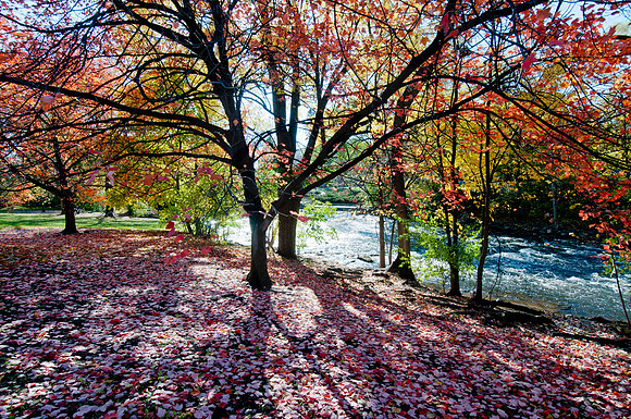 20111102_DLT0524