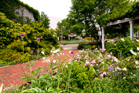20110707_DLT9781