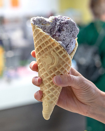 MSU Dairy Blueberry Pie.v