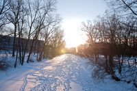 20110203_DLT8966