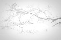 20140108.GK.9426
