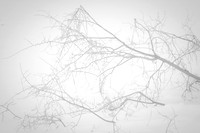 20140108.GK.9424