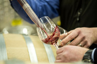 Wine story - news release