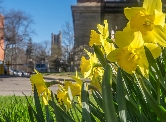 20150501DSCF0916