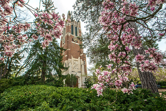 20150504_DLT2674