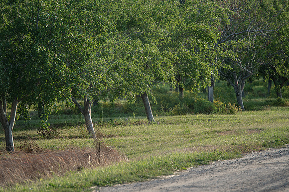 20150707.GK.2624