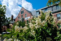 Abbot Hall