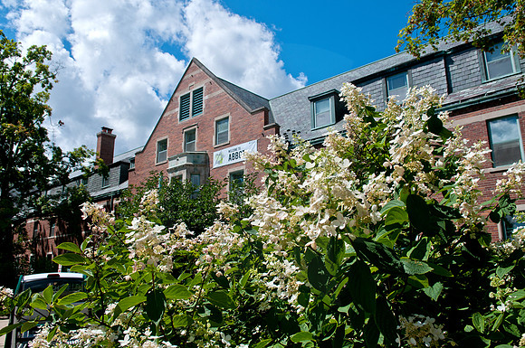 20110810_DLT6218