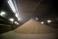 Soybean Research, E. Lansing, MI