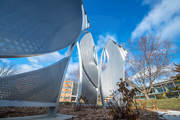 20130215DLT_0049
