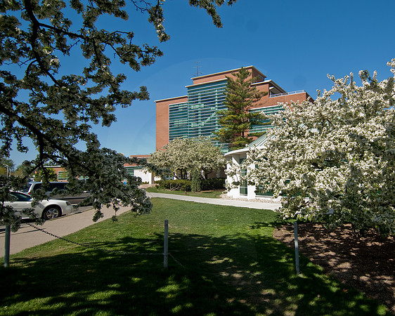 20100428.DLT_3777