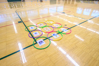 One Health Initiative and Goldbergcares Kinesiology