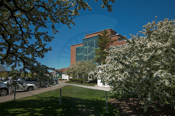 20100428.DLT_3784
