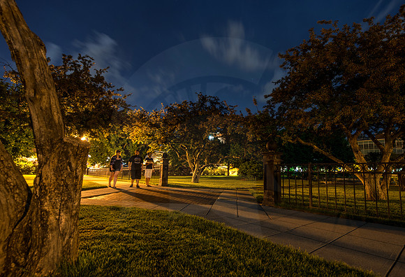 20130521._DLT4376