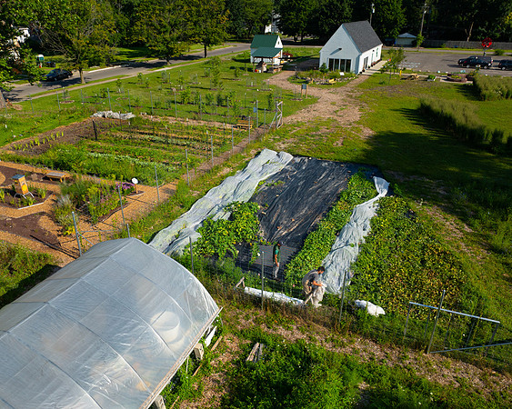 DPFLI_Aerial-11