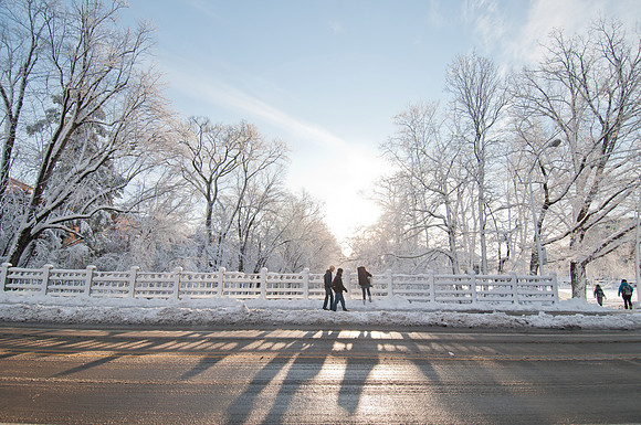 20111130_DLT0674-2