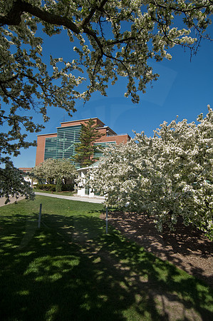 20100428.DLT_3780