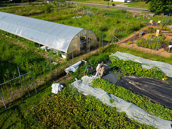 DPFLI_Aerial-9