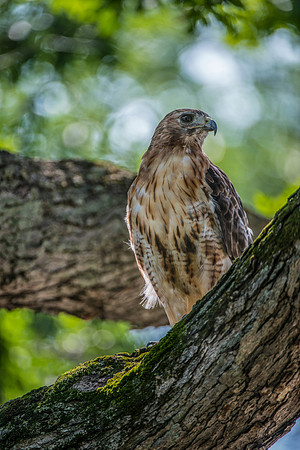 20140808KAS4181-Edit