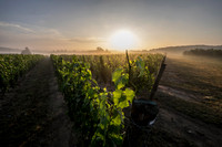 20140727KAS1406-Edit