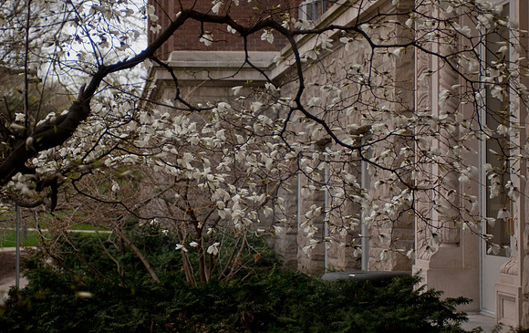 20100409.DLT_0075