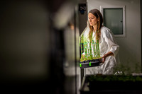 Plant Biology / Sciences/Brandizzi