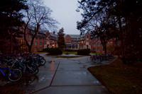 20100325.DLT.9088