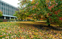 20121015.DLT.0377
