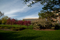 20100429.DLT_4058