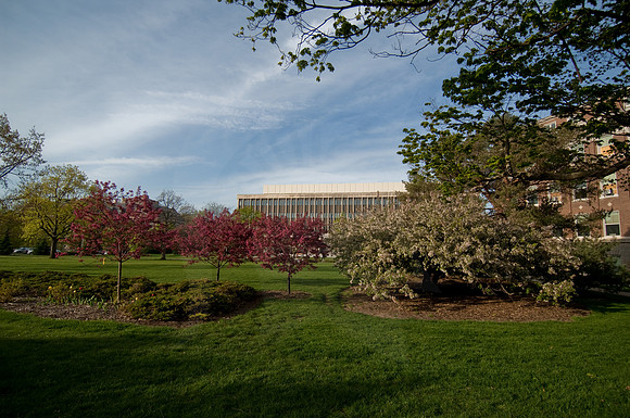 20100429.DLT_4058