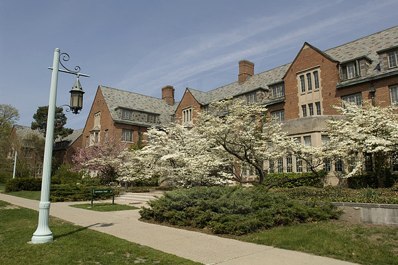 20080507_landon Spring01_dt