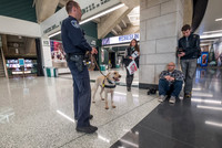 Police Dogs_Breslin