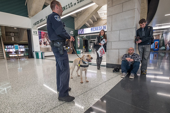 Police Dogs