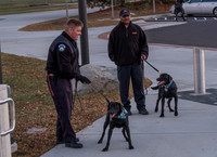 Police Dogs
