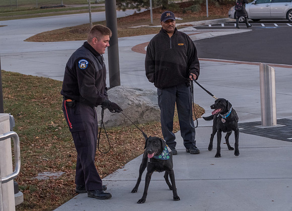 Police Dogs