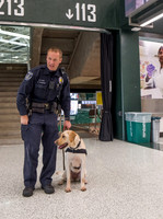 Police Dogs
