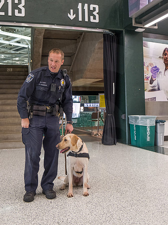 Police Dogs