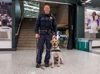 Police Dogs