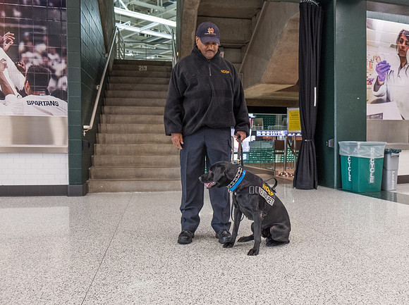 Police Dogs