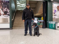 Police Dogs