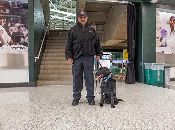 Police Dogs