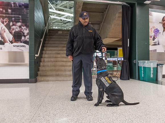 Police Dogs