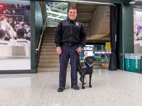 Police Dogs