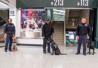 Police Dogs