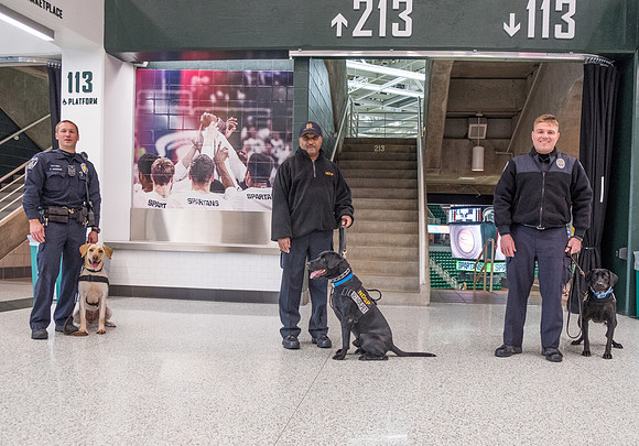 Police Dogs