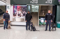 Police Dogs