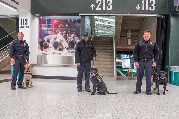 Police Dogs