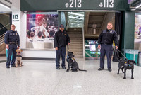Police Dogs