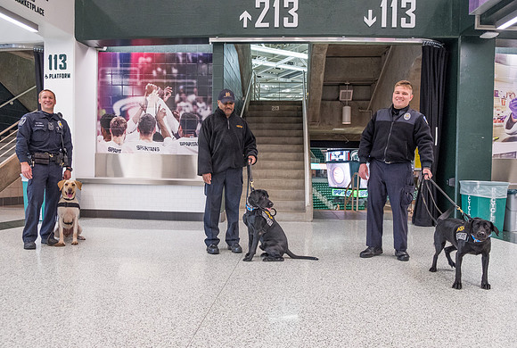 Police Dogs